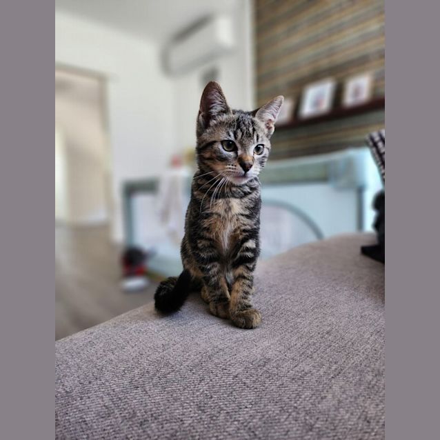 Photo of Bond   Located In Preston