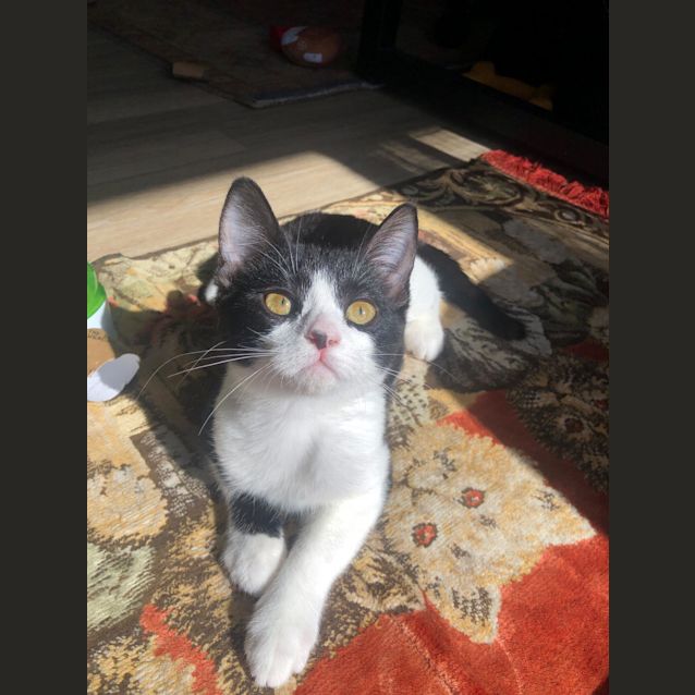 Photo of Charli 