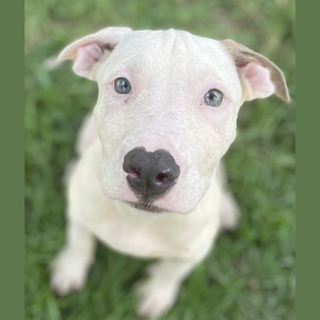 Photo of Xena