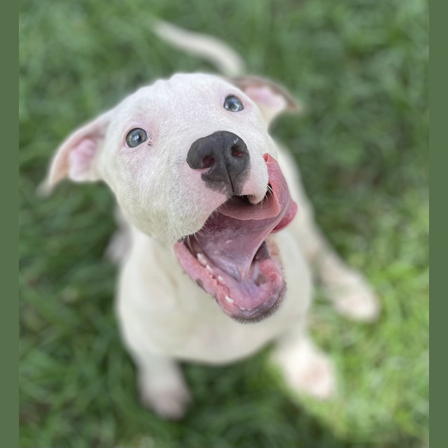 Photo of Xena