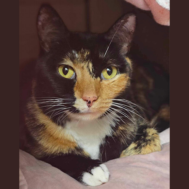 Photo of Willma
