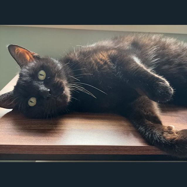 Photo of Mia 