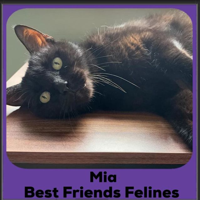 Photo of Mia 