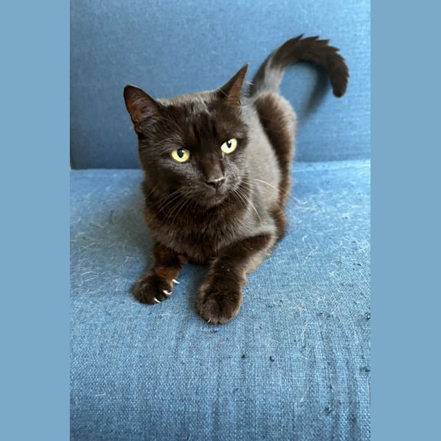 Photo of Mia 