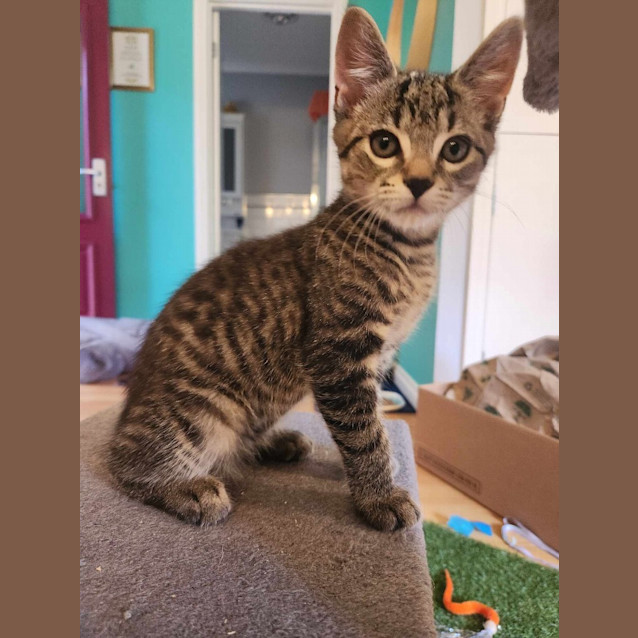 Photo of Wednesday