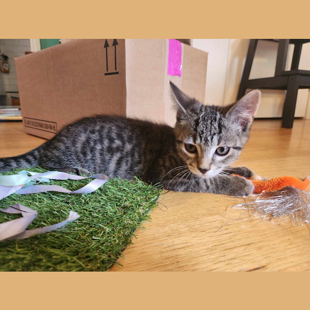 Photo of Wednesday