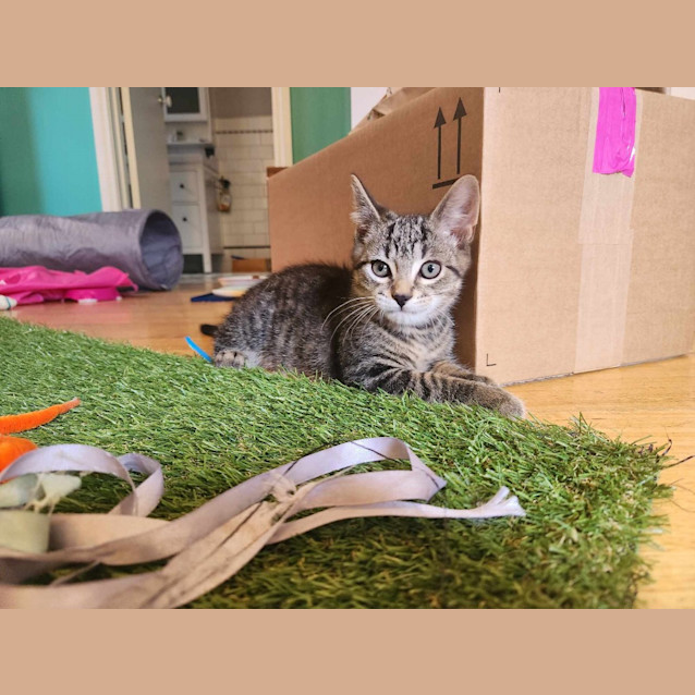 Photo of Wednesday