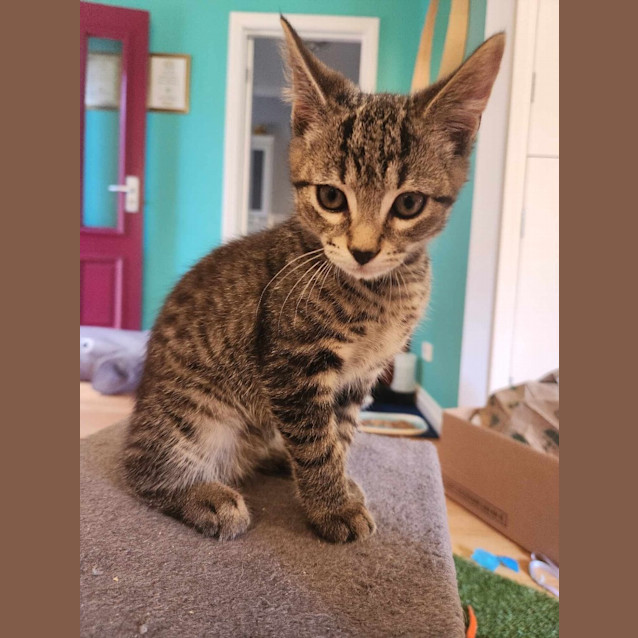 Photo of Wednesday