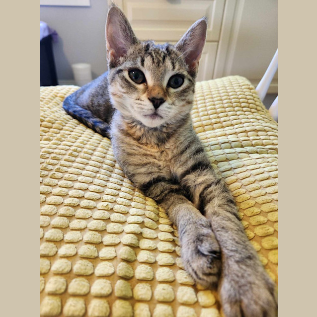 Photo of Wednesday