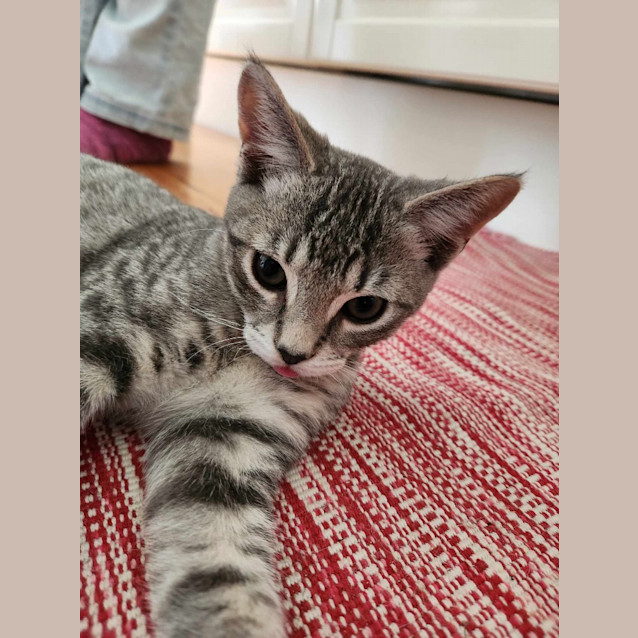 Photo of Wednesday