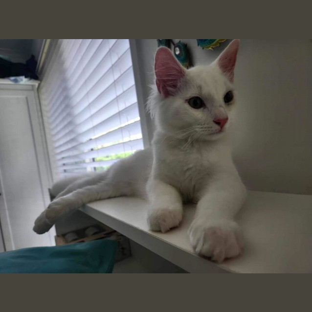Photo of Mickey 