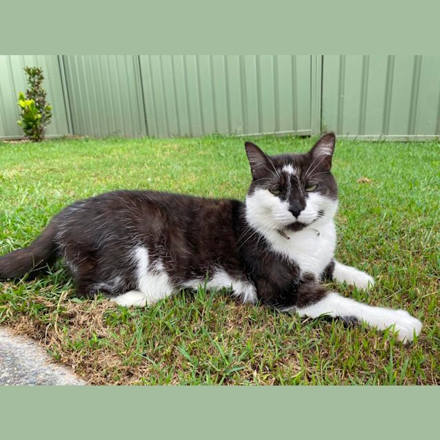 Photo of Duke