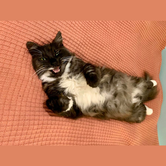 Photo of Holly