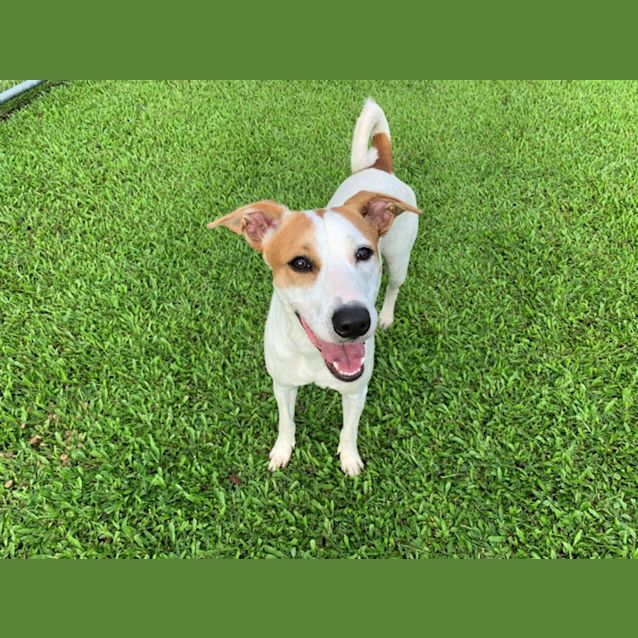 Photo of Evie