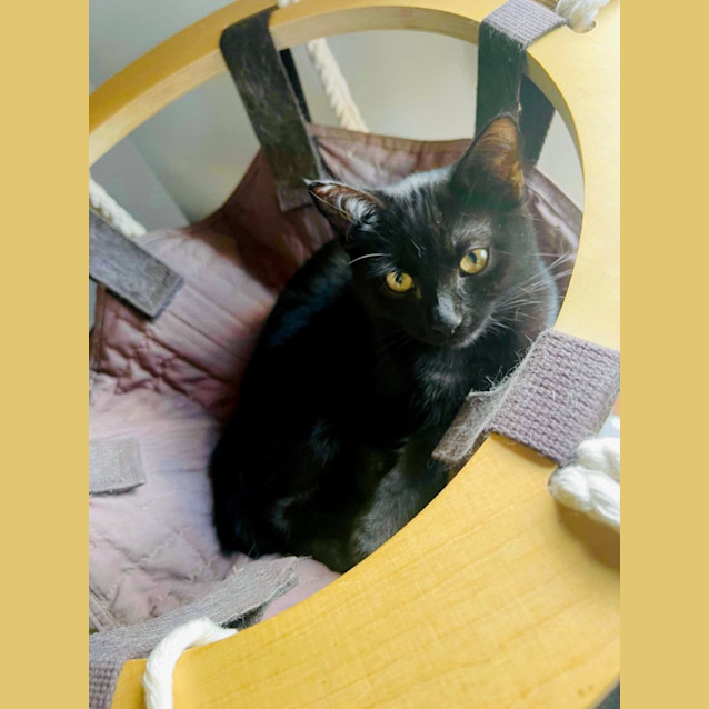 Photo of Sleepy Jagger 😴 