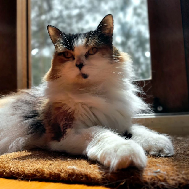 Photo of Geenie Sua011702