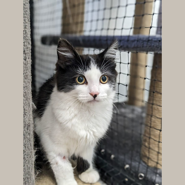 Photo of 🐟 Dory F02792 🐟