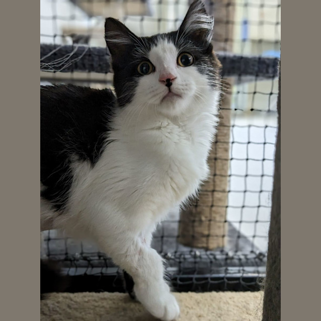 Photo of 🐟 Dory F02792 🐟