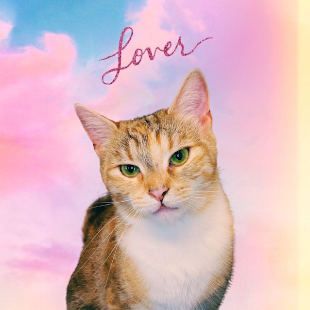 Photo of T Swizzle