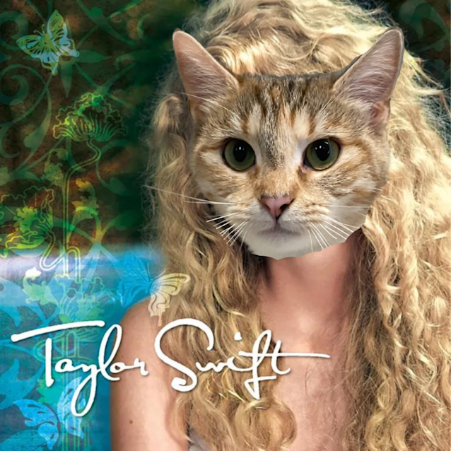 Photo of T Swizzle