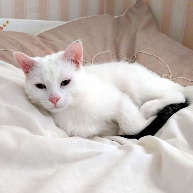 Photo of Trevor Sta0011562