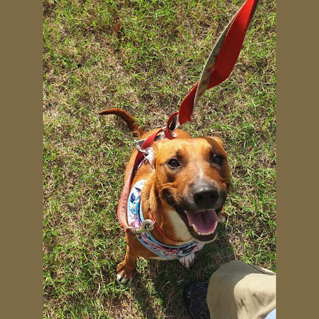 Photo of Bon Bon