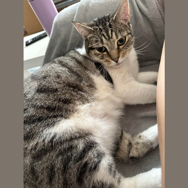 Photo of Bella