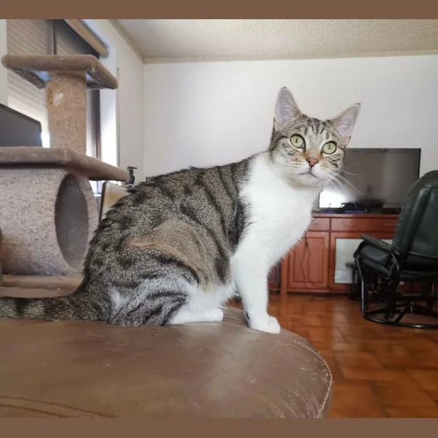 Photo of Bella