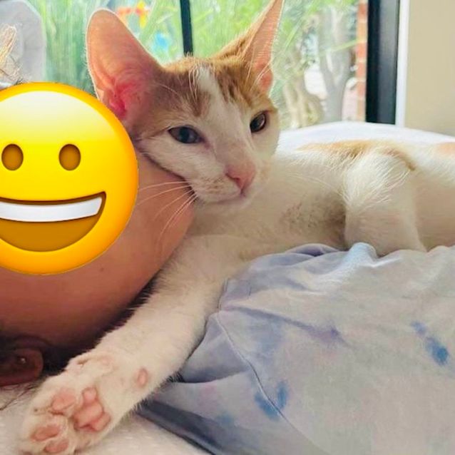 Photo of River   Located In Preston