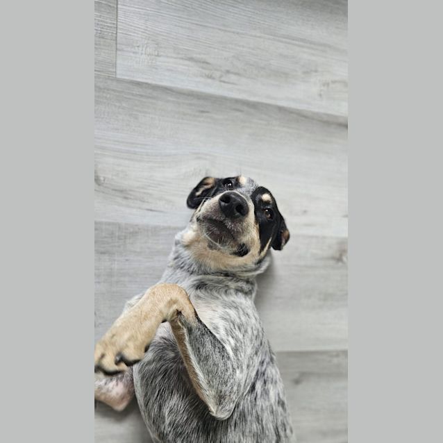 Photo of Penelope