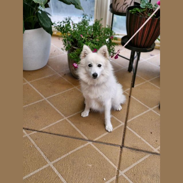 Photo of Beila 
