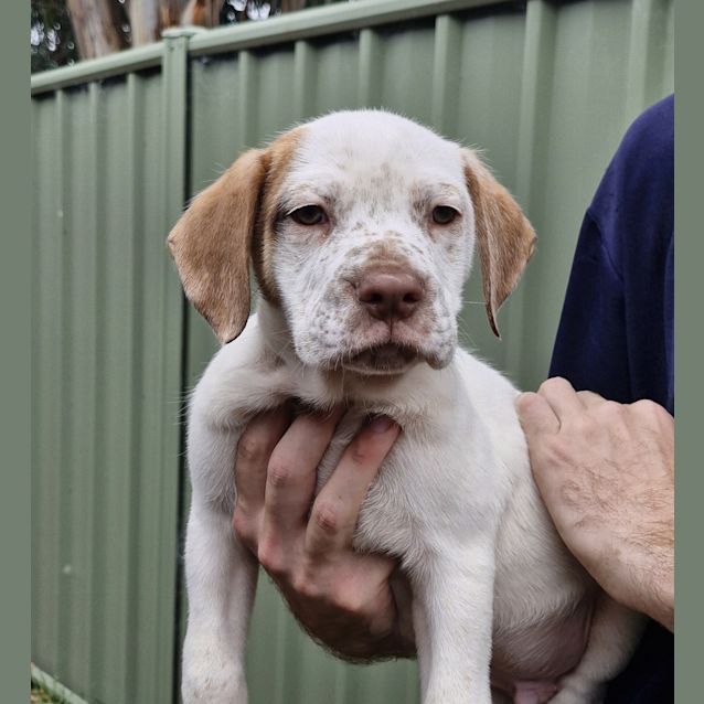 Photo of Hamish