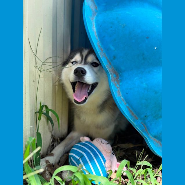 Photo of Little Tilly