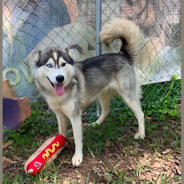 Photo of Little Tilly