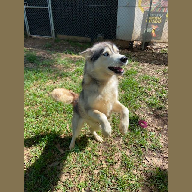 Photo of Little Tilly