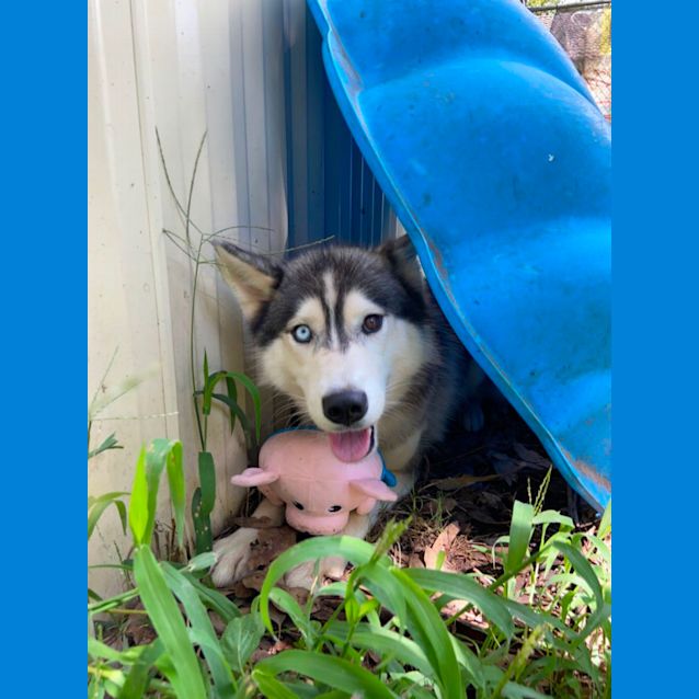 Photo of Little Tilly