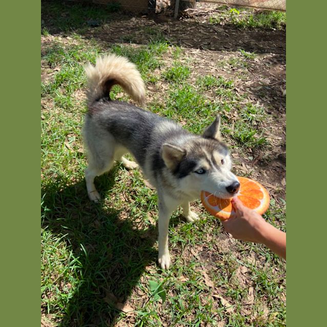 Photo of Little Tilly