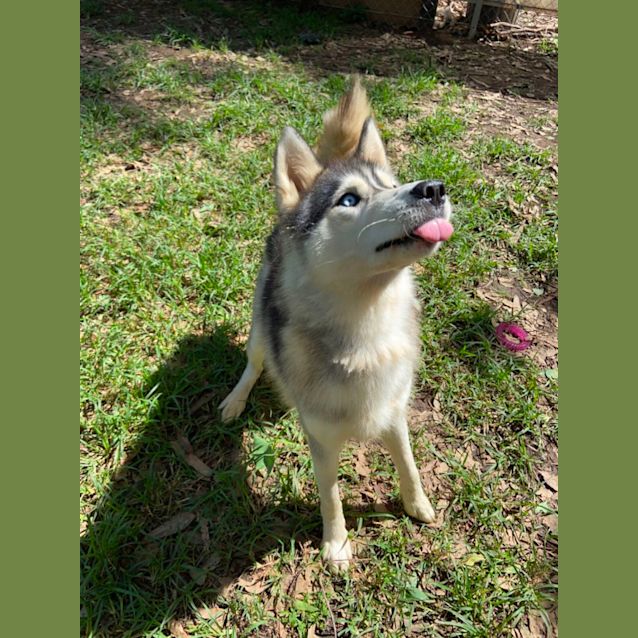 Photo of Little Tilly