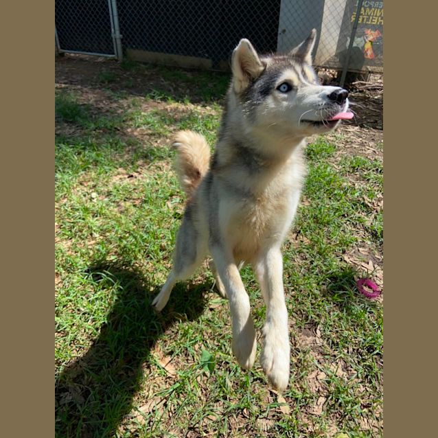 Photo of Little Tilly