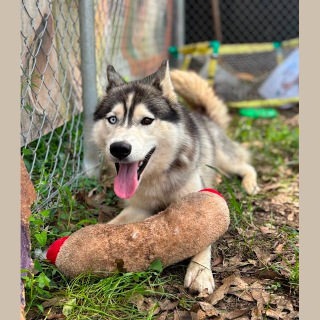 Photo of Little Tilly