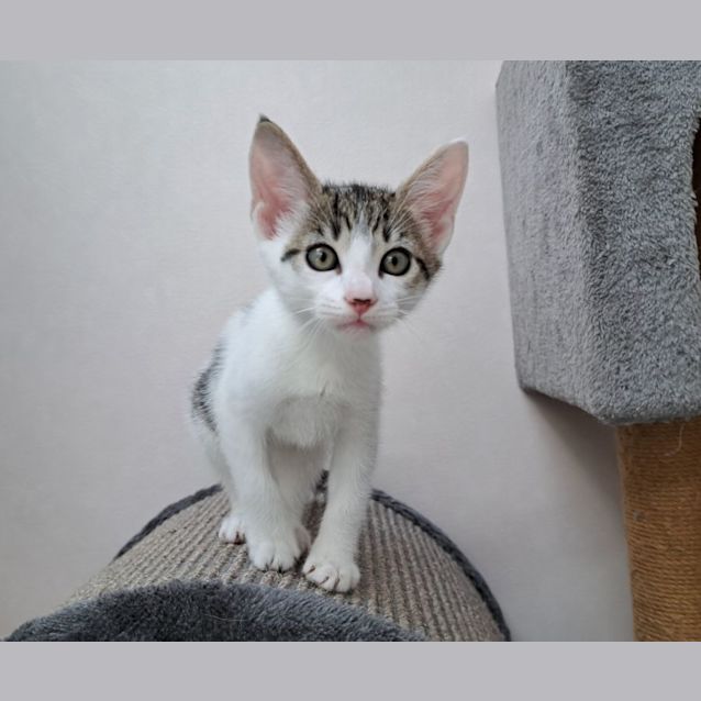 Photo of Alex (0065)