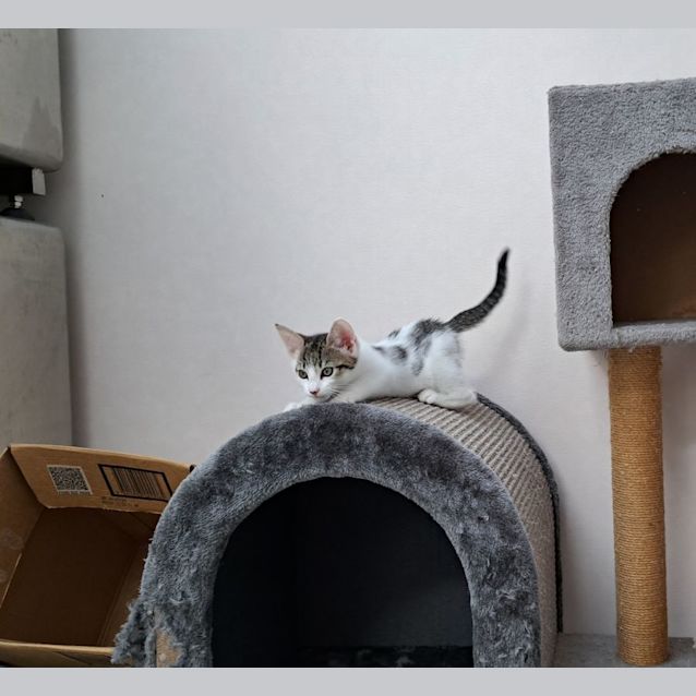 Photo of Alex (0065)