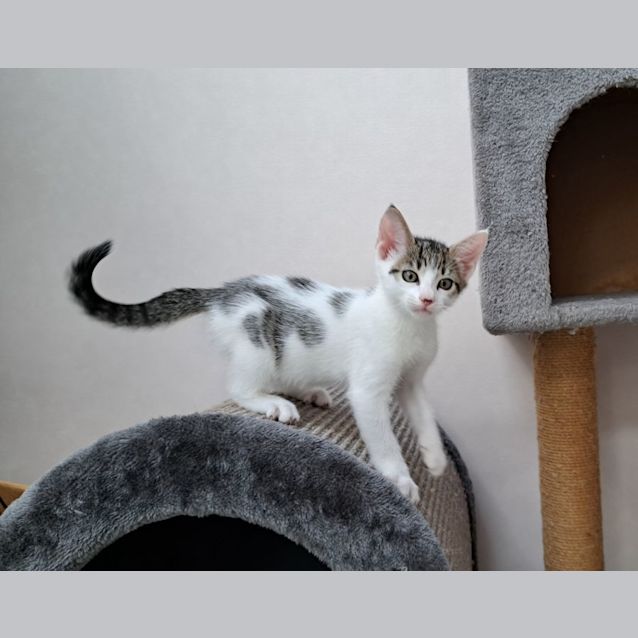 Photo of Alex (0065)