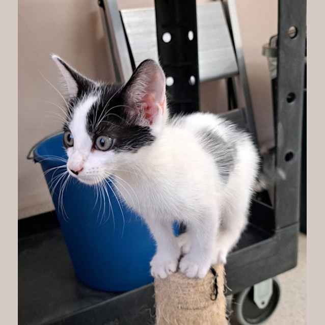 Photo of Dylan (0061)