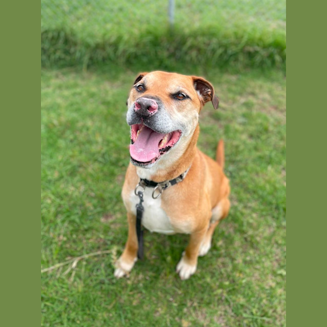 Photo of Zuma (40894)