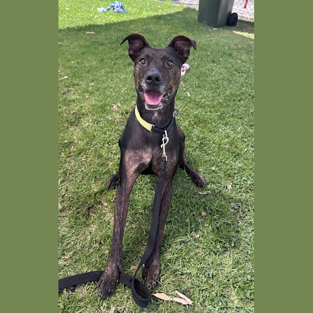 Photo of Merry