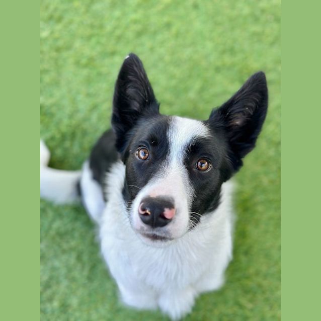 Photo of Axel 
