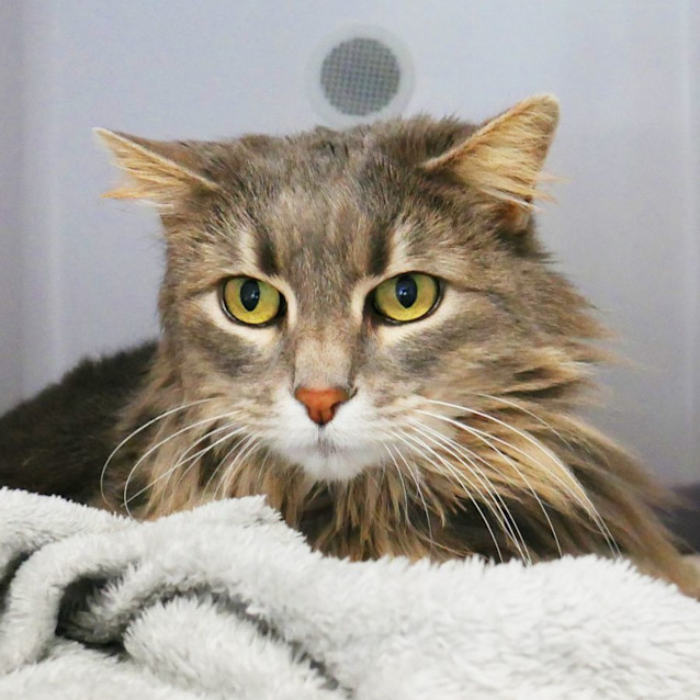 Photo of Billie Rsuk000825