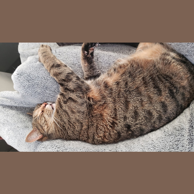 Photo of Leeloo