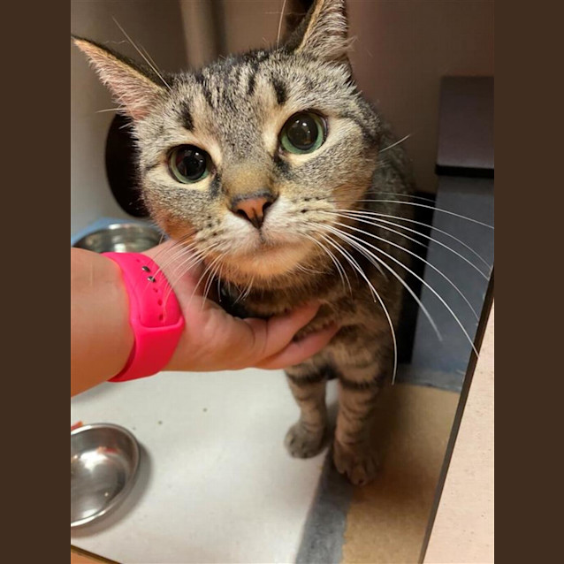 Photo of Cleo